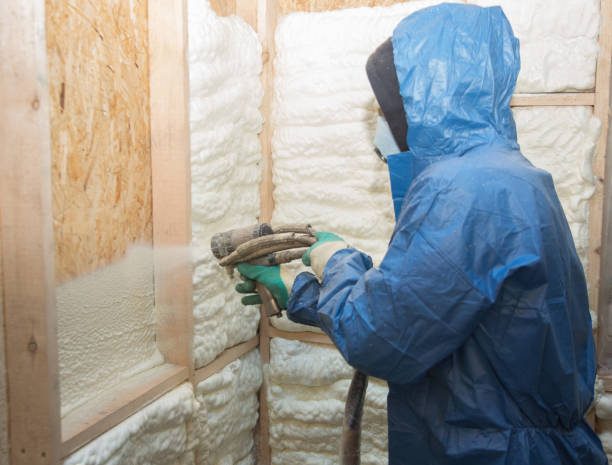 Best Attic Insulation Installation  in Nelsonville, OH